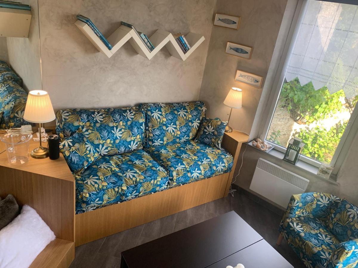 Studio De Charme "Le Coquillage " Jacuzzi Privatif بلينوف-فال-أندريه المظهر الخارجي الصورة